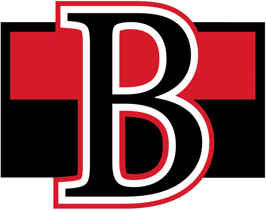 Belleville Senators iron ons